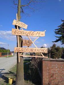 扎莫希奇Agroturystyka Pod Kogutem的街道旁的树上木头标志