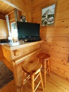 UnterburgFerienhaus Hanni的小木屋配有电视和2张凳子