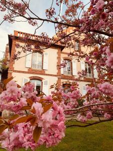 库唐斯La Villégiature的前面有粉红色花的房子