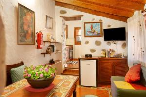 克鲁兹·德·特赫达Casita Bentayga的客厅配有电视和植物桌子