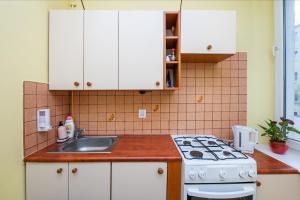 格丁尼亚Apartament Gdynia的厨房配有水槽和炉灶 顶部烤箱