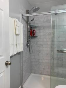 尼亚加拉瀑布Ambiance by the Falls Cozy Suite的带淋浴的浴室和玻璃门