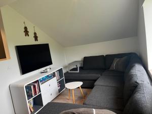 阿克雷里Akureyri - cabin with an amazing view的带沙发和平面电视的客厅