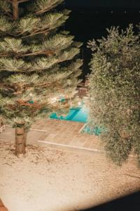 利扎诺Masseria Macchiarola的一个带树木和游泳池的隐私围栏