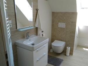 乌帕河畔斯沃博达Apartmány Zlatý Hamr的一间带水槽、卫生间和镜子的浴室