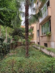 维罗纳Cc133的一座建筑前的棕榈树