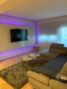 斯特鲁米察Gray Apartments的带沙发和电视的客厅