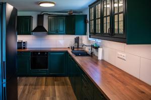 克拉根福Ganzes Haus mit viel Platz für Familie und Freunde的厨房配有绿色橱柜和木制台面