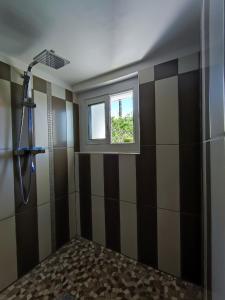 巴涅尔德比戈尔Appartement Abadie的带淋浴的浴室和窗户。