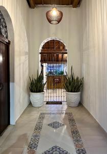 蒙波斯HOTEL PLAZA BOLIVAR MOMPOX ubicado en el centro histórico con parqueadero interno的门前有两盆植物的走廊