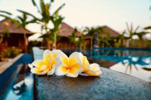 蓝梦岛格东努萨旅馆的坐在游泳池旁桌子上的一双鲜花
