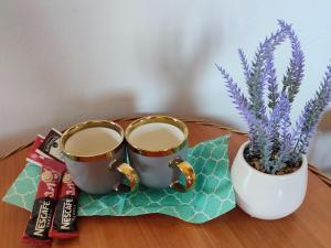 鲁容贝罗克Penzion u Sulov的桌上的两杯咖啡杯和盆栽植物