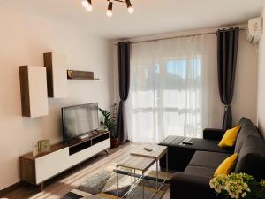 雅西Newton luxury apartment的带沙发和电视的客厅