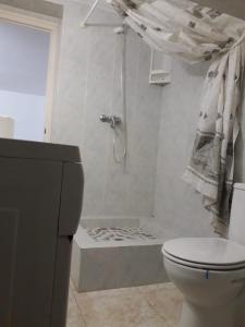 圣卡洛斯拉腊皮塔MASET的带淋浴和卫生间的浴室。