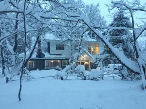 白马村Lodge Blue Mount Hakuba的雪覆盖着的房屋,里面装着灯