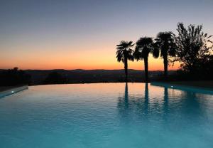 CollazzoneMiataland的棕榈树和日落的游泳池