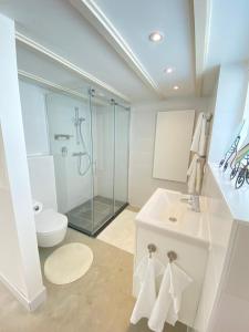 赞德沃特Emma Lodge Zandvoort的一间带玻璃淋浴和卫生间的浴室