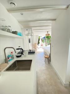 赞德沃特Emma Lodge Zandvoort的带水槽的厨房和1间带1张床的卧室