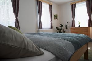 克拉斯纳利帕Apartmány Goliáš的窗户客房内的一张带蓝色棉被的床