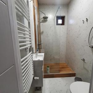 Novi BanovciChe Private Rooms Banovci的带淋浴、卫生间和盥洗盆的浴室