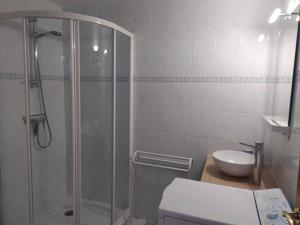 LaguépieLe Mas des Gorges的带淋浴、卫生间和盥洗盆的浴室