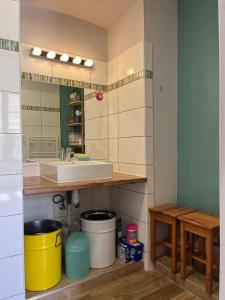 科尔特Joli appartement F2 centre ville de Corte的厨房配有水槽和带水桶的吧台