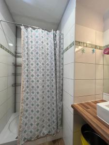 科尔特Joli appartement F2 centre ville de Corte的浴室配有淋浴帘和盥洗盆。