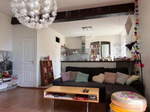 科尔特Joli appartement F2 centre ville de Corte的客厅配有黑色沙发和吊灯。