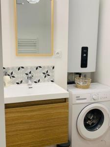 拉弗雷切Centre ville (1) : superbe appartement climatisé的一间带洗衣机和水槽的浴室