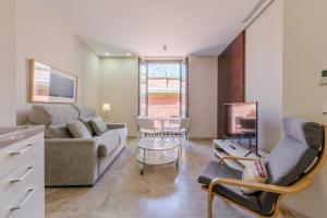 塞维利亚奥拓圣克鲁斯绿色公寓的带沙发和电视的客厅