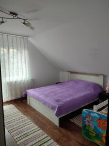 马纳斯提雷亚胡莫鲁鲁伊Casa Irilen的一间卧室配有紫色床和紫色毯子
