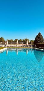 阿兰约兹阿兰约兹西方酒店的一座大型蓝色游泳池,其水面反射