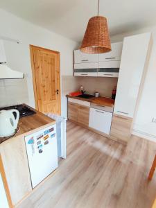 多尔尼斯莫克维克Apartmán Pod Lesom的厨房配有白色冰箱和炉灶。