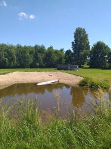 GromotyDomek letniskowy na Mazurach nad stawem的田间中带船的池塘