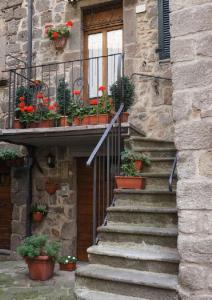 阿巴迪亚圣萨尔瓦托雷AFFITTACAMERE SANT'ANGELO的楼梯上一座石头建筑,上面有盆栽植物