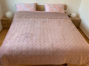 拉什科Apartmaji Prʼ nas的一间卧室配有一张带粉红色棉被和枕头的床