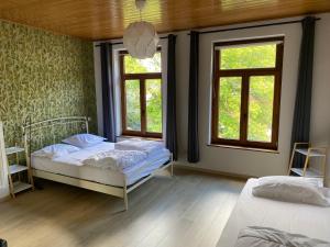 WalcourtMaison Dispa的一间卧室设有两张床和两个窗户。