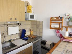 勒索兹Le Chamois Blond 509的一间带水槽和微波炉的小厨房