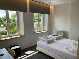 WalcourtMaison Dispa的一间卧室设有两张床和两个窗户。