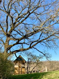 Idrac-RespaillesCabane Bivouac avec échelle à l'ombre des chênes的树田里的小木屋