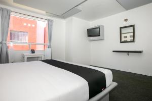 帕丘卡德索托Hotel Euro Confort,Pachuca的白色的卧室设有床和窗户