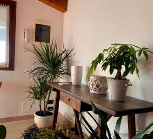 普雷甘齐奥尔Casa Ester的上面有盆栽植物的木桌