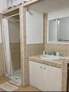 普雷甘齐奥尔Casa Ester的带淋浴、盥洗盆和镜子的浴室