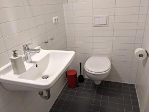 沃尔加斯特普天沃尔加斯特旅舍的一间带水槽和卫生间的浴室