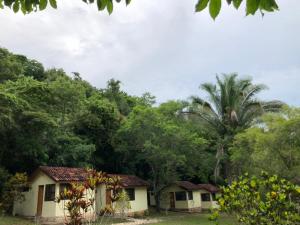 Santa ElenaParque Natural Ixpanpajul的林中一排棕榈树的房屋