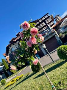西格伏沙尔克埃泰尔诺家庭酒店的草上一根杆上的一束粉红色花