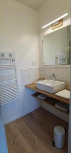 GrazacLes Hauts de Grazac的一间带水槽和镜子的浴室
