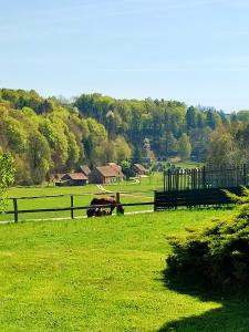 Sveti Jurij ob ŠčavniciAPARTMA KAPELSKI FANT的草场上的马