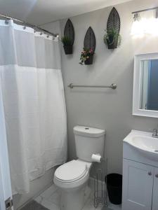 费城THE ROOFTOP OASIS的白色的浴室设有卫生间和水槽。
