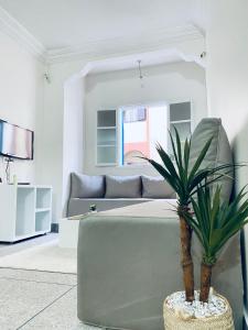 索维拉WELKAM Home & Coworking的带沙发和植物的客厅